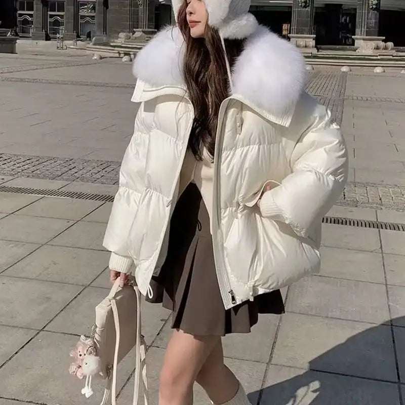 Damen Winter-Steppjacke mit Fellkragen, kurz, warm und dick gefüttert in Braun