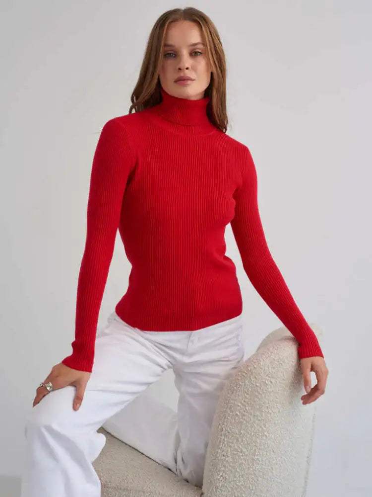 Eleganter klassischer Damen Strickpullover mit Rollkragen in verschiedenen Farben und weichem Viskose-Material.